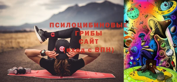 стаф Баксан