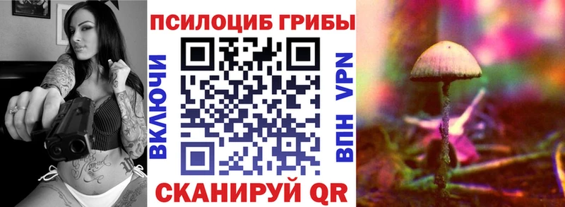 кракен зеркало Тихорецк дарк нет телеграм Галлюциногенные грибы Magic Shrooms